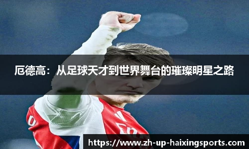 海星体育官网