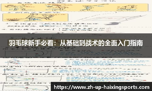 海星体育