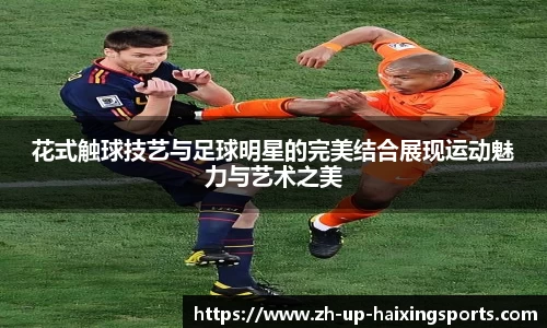 海星体育官网